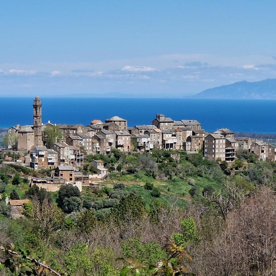 Holiday home A Pasturella, Jacuzzi Venzolasca
